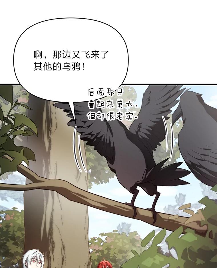 《找到我爸的儿子》84.寻找乌鸦之旅 第76页