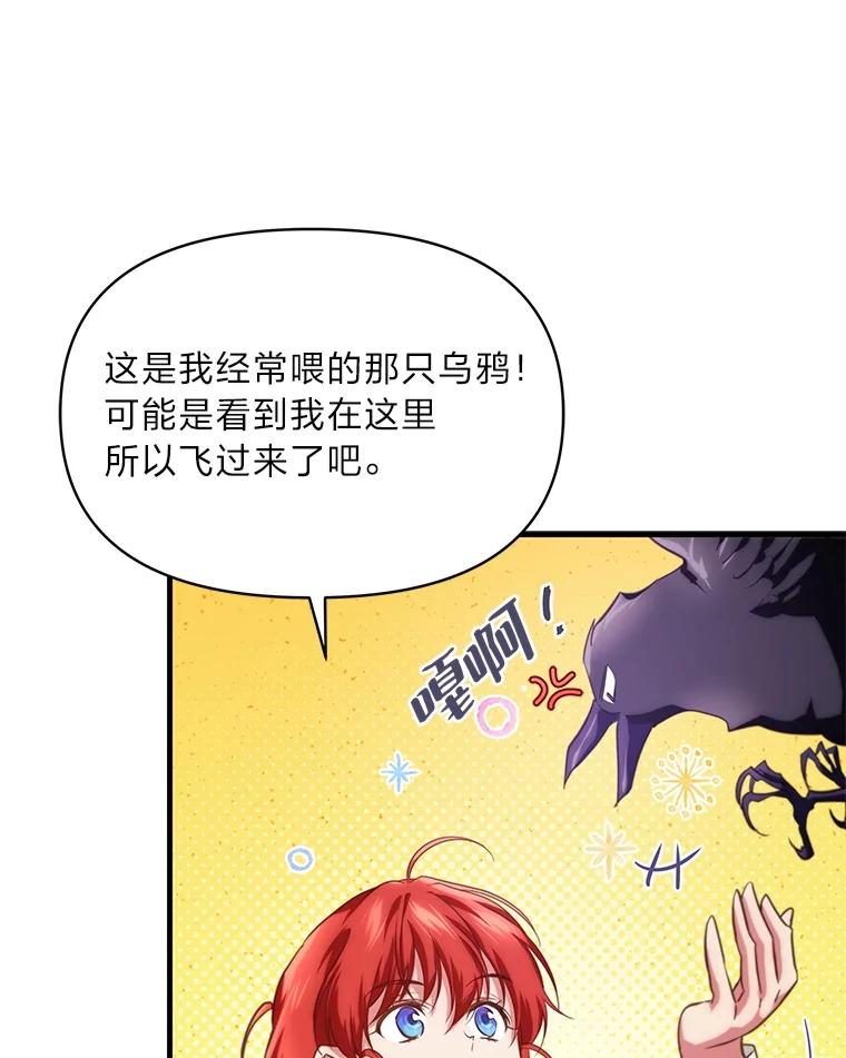 《找到我爸的儿子》84.寻找乌鸦之旅 第72页