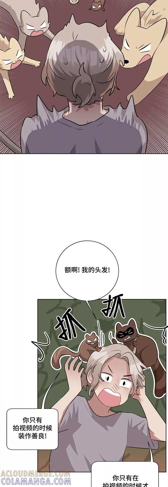 《今天也汪汪》第26话 第31页