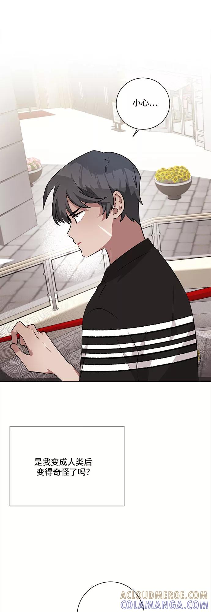 《今天也汪汪》第31话 第43页