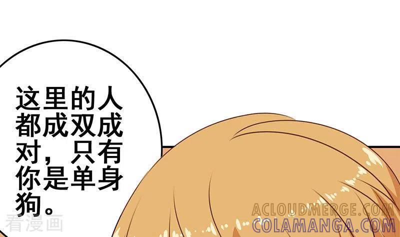 《不凡的菜鸡》第37话 单身狗的忧伤 第37页