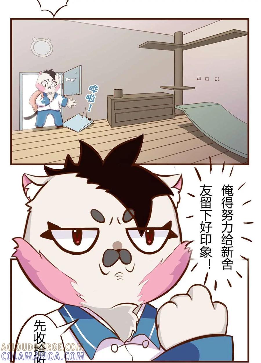 《京剧猫喵日常》第85话：入住！新的舍友 第5页