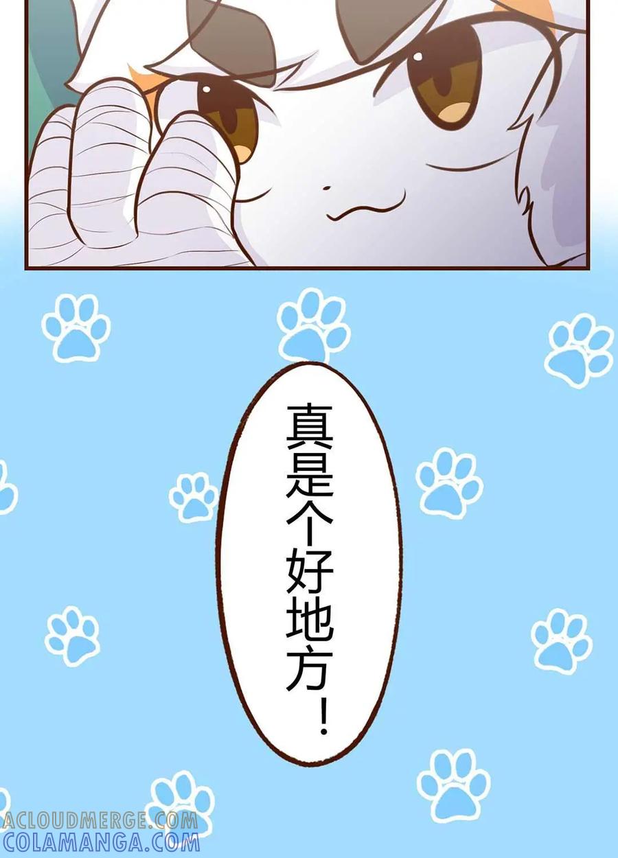 《京剧猫喵日常》第85话：入住！新的舍友 第9页