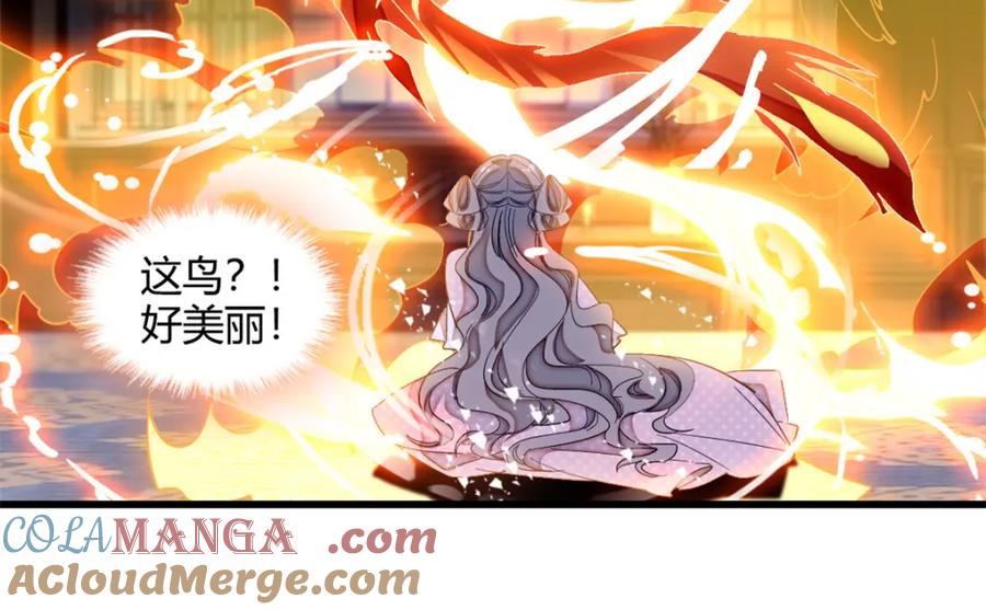 《子爵小姐疯起来谁都咬》7 凤凰命格 第10页