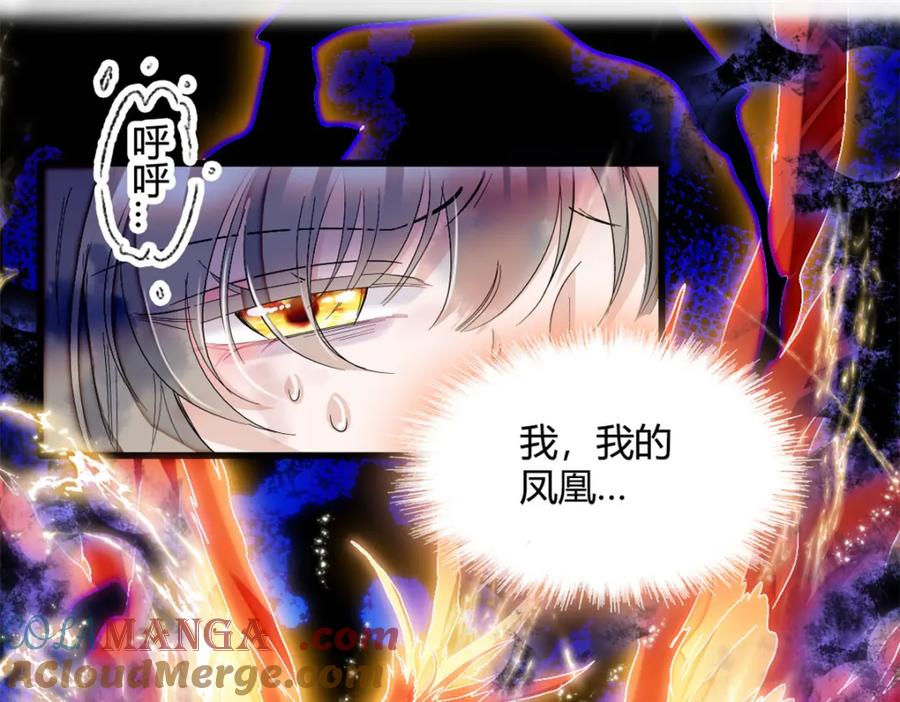 《子爵小姐疯起来谁都咬》7 凤凰命格 第25页