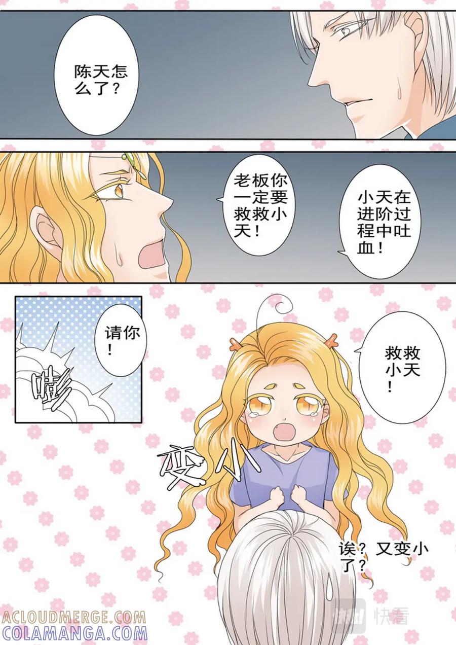 《我的师傅不是人》第四百七十三话 第6页