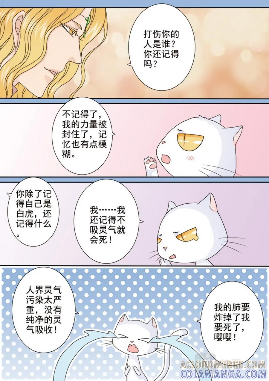 《我的师傅不是人》第四百七十九话 第5页