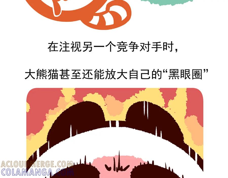 《胖达x胖达》第1话 第23页
