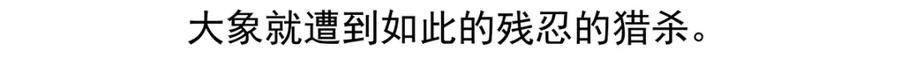《胖达x胖达》第6话 第23页