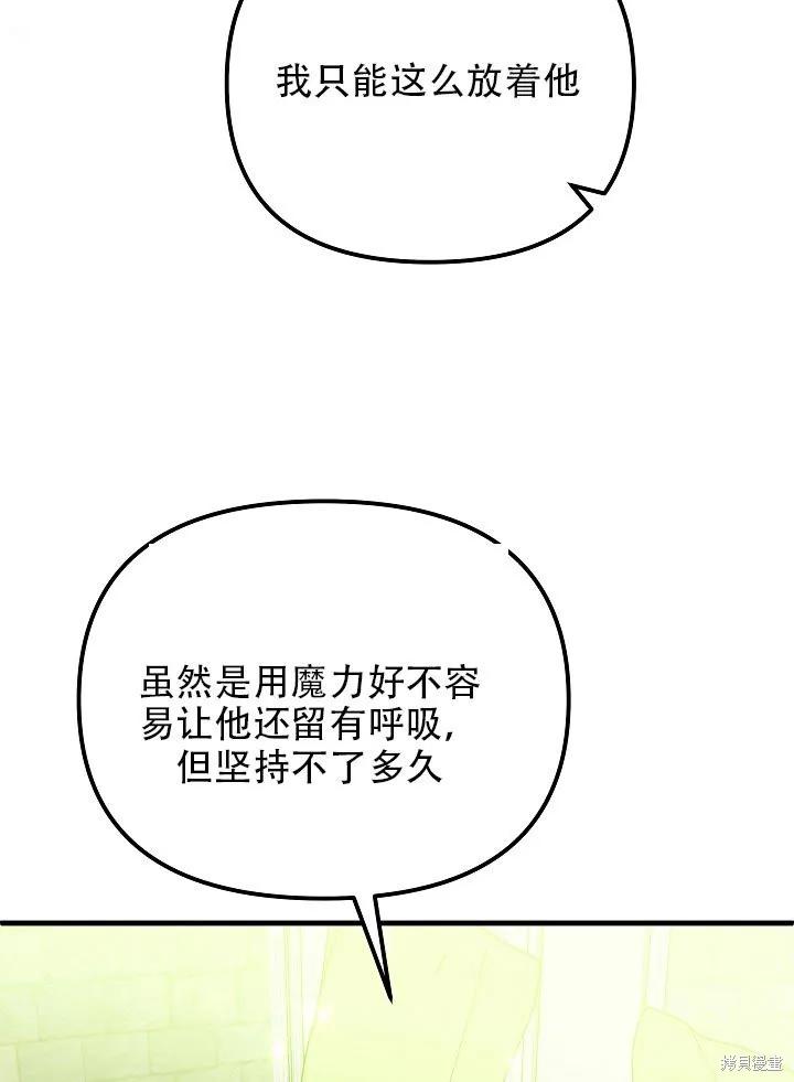 《王女在装疯卖傻》第33话 第102页