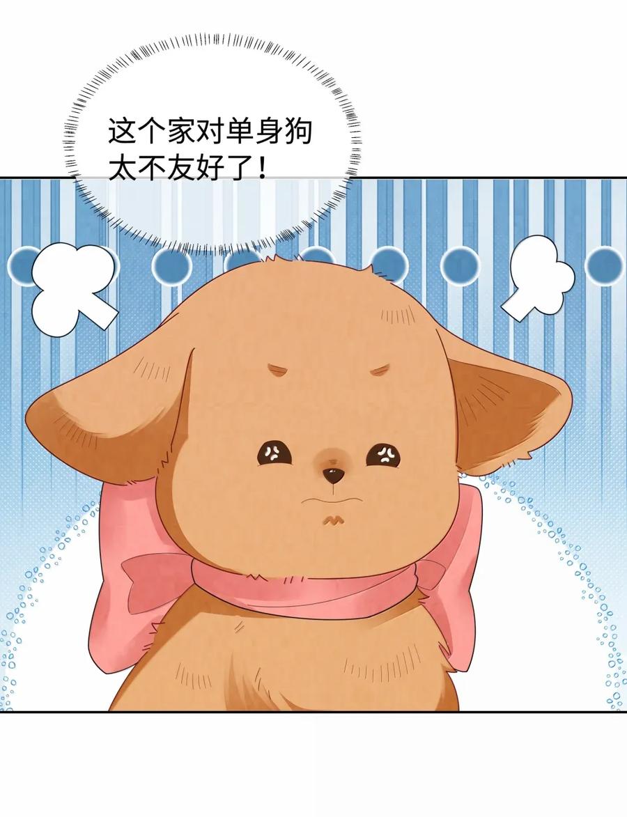 总裁的百万剧本 番外三 光宗的一天·完 第32页