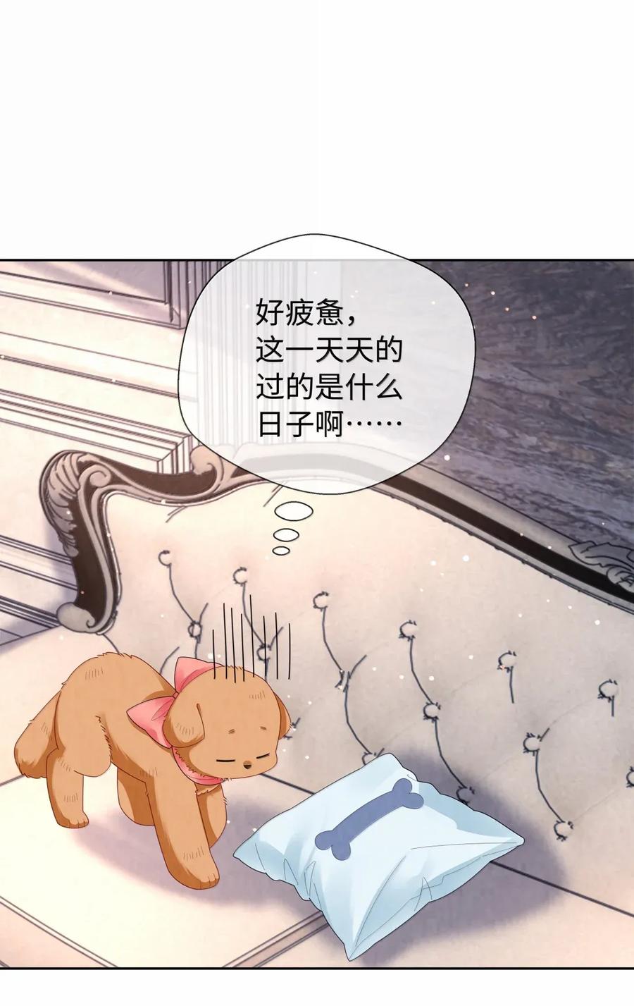 总裁的百万剧本 番外三 光宗的一天·完 第20页