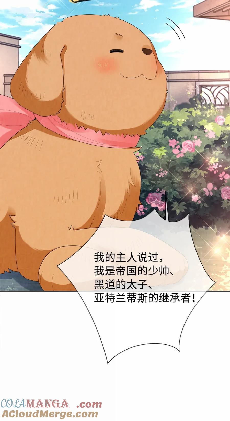 总裁的百万剧本 番外三 光宗的一天·完 第9页