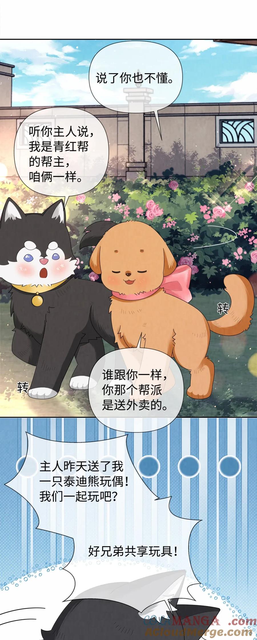 总裁的百万剧本 番外三 光宗的一天·完 第11页