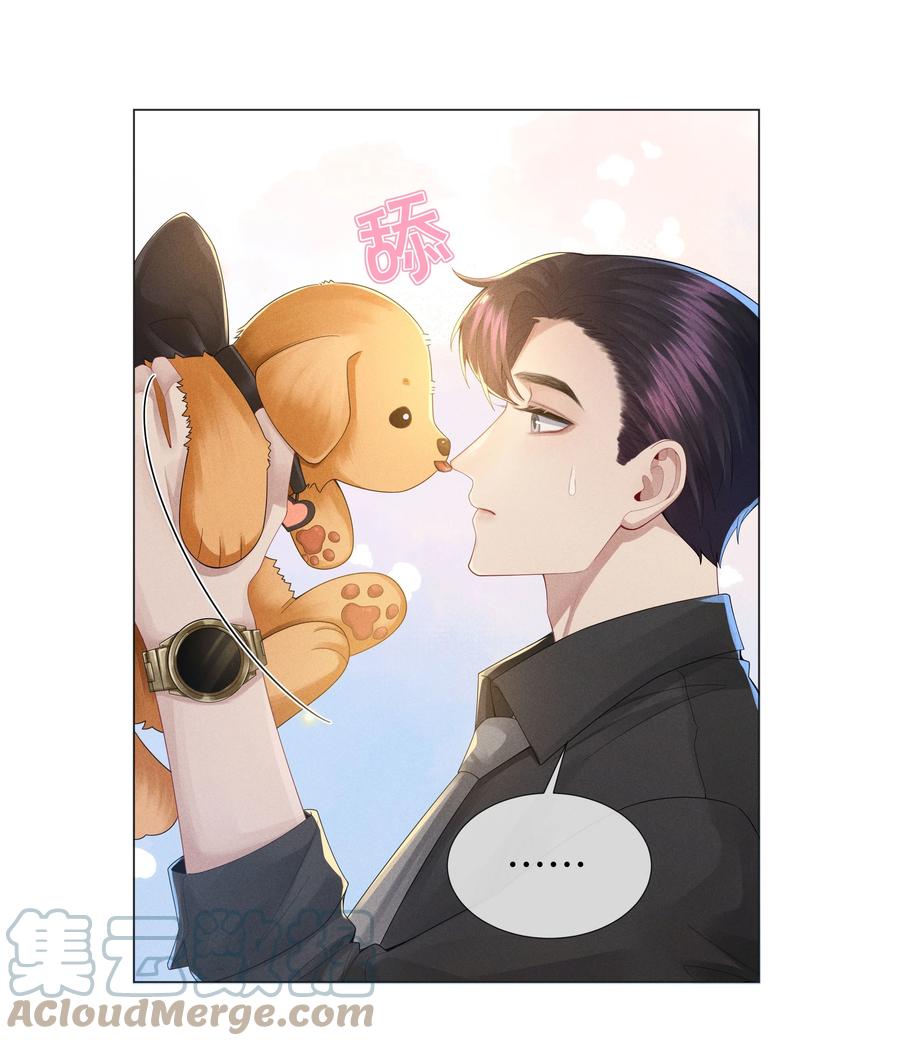 总裁的百万剧本 044 就叫张光宗吧！ 第23页