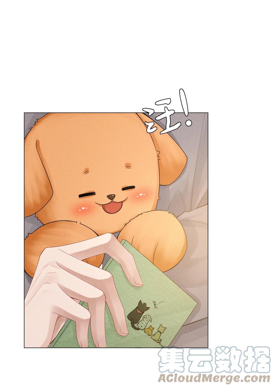 总裁的百万剧本 046 我小时候，是哈士奇！ 第13页