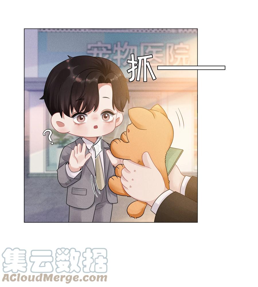 总裁的百万剧本 046 我小时候，是哈士奇！ 第17页