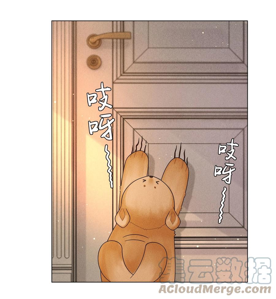 总裁的百万剧本 052 就是在偷亲 第13页
