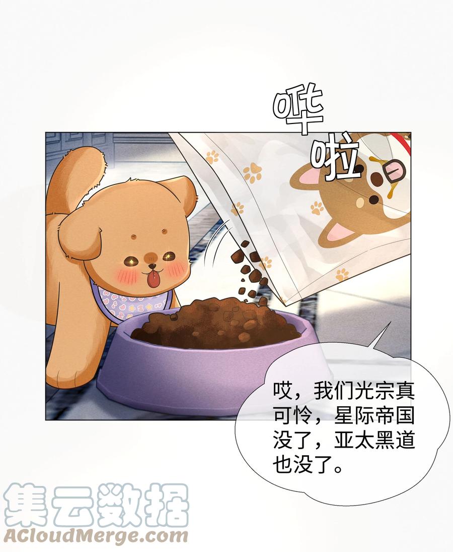 总裁的百万剧本 060 吞枪自尽！ 第16页