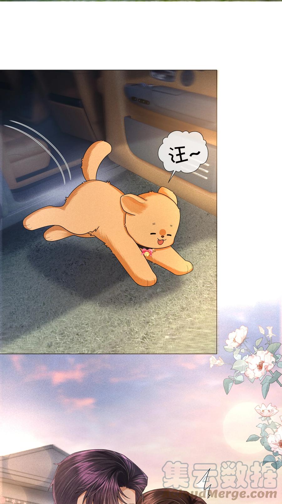 总裁的百万剧本 065 可爱的小东西~ 第13页
