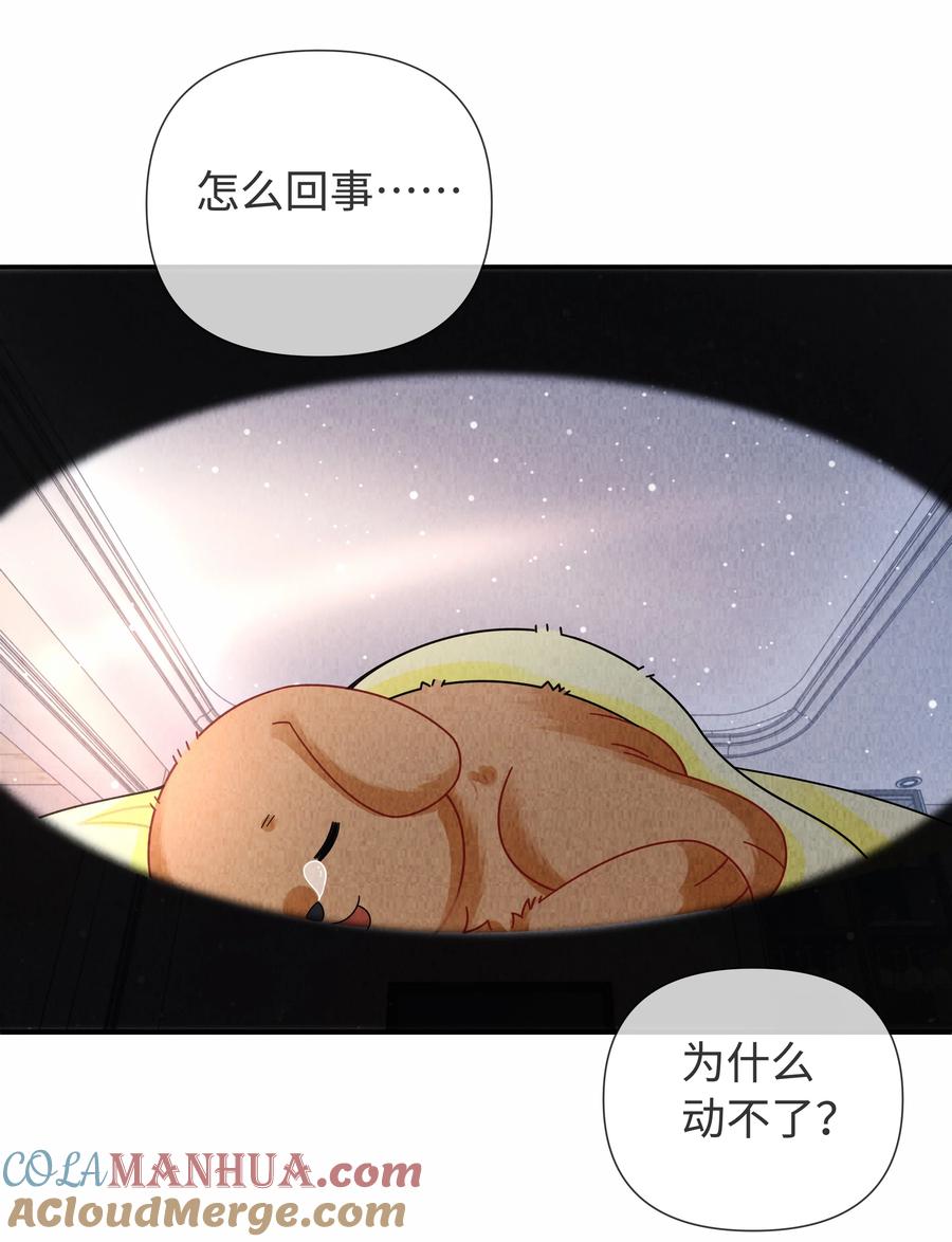 总裁的百万剧本 091 你是……哈士奇？ 第29页