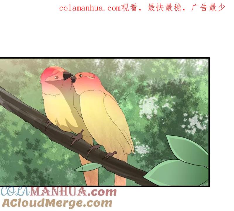 《总裁的替嫁新娘》第120话 你配不上她 第1页