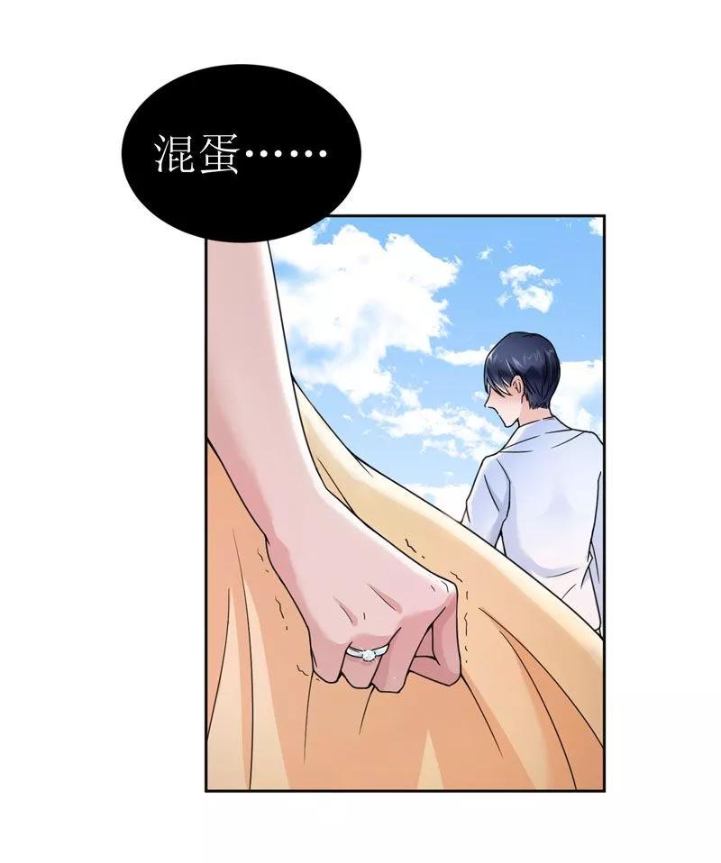 《总裁的替嫁新娘》第9话 犯傻爱上你 第28页