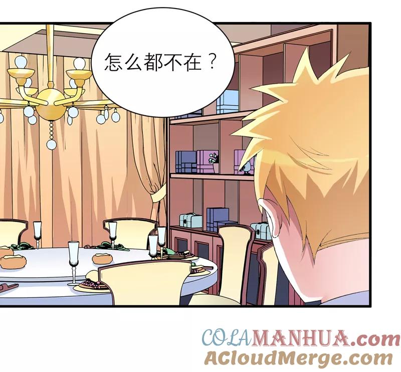 《总裁的替嫁新娘》第131话 再娶一次平安 第11页