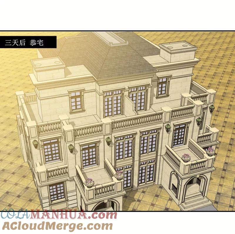 《总裁的替嫁新娘》第142话 归来的哥哥 第11页