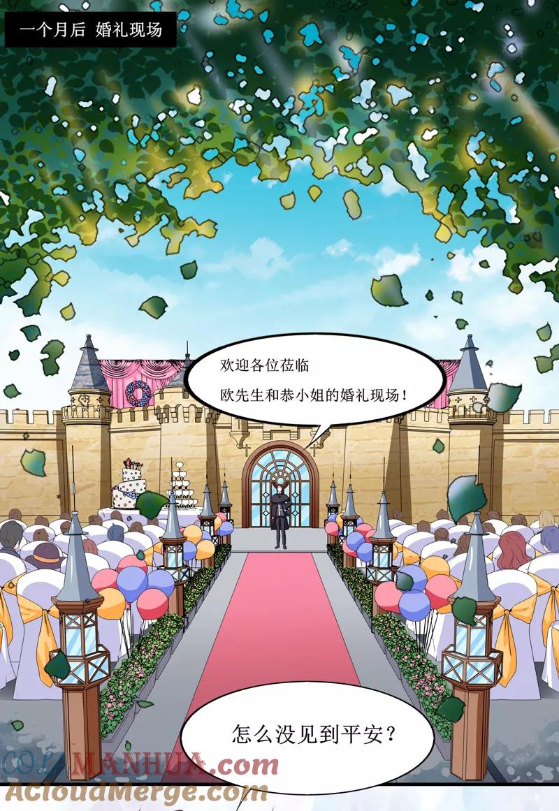 《总裁的替嫁新娘》第143话 婚礼 第13页