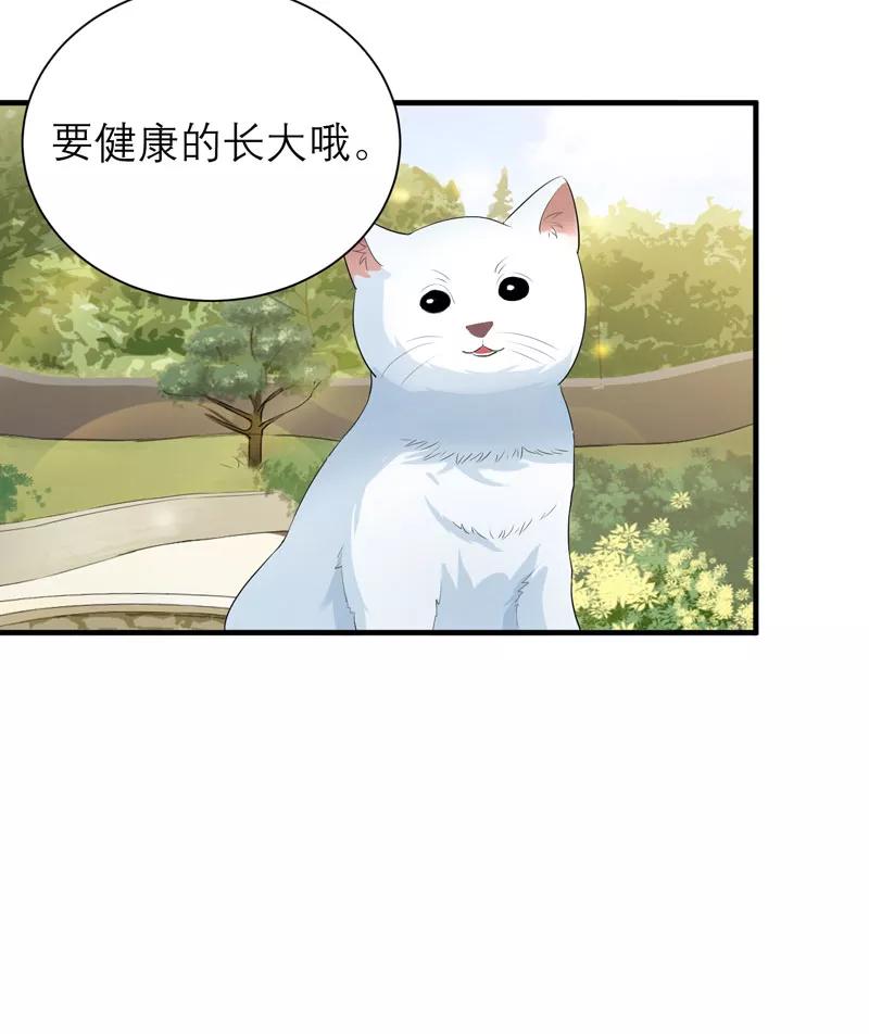 《总裁的替嫁新娘》第53话 跟我联手吧 第22页