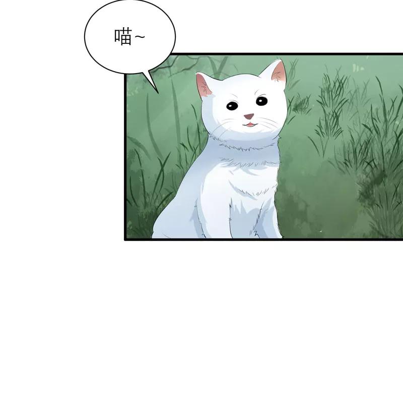 《总裁的替嫁新娘》第61话 心凉了还会暖吗 第6页