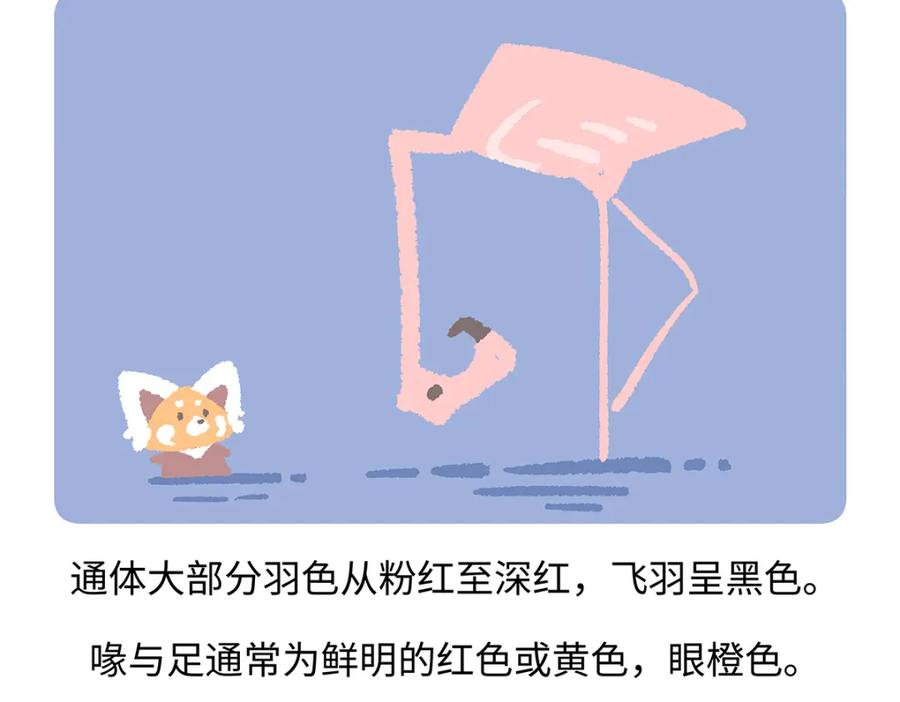 《胖达x胖达》第264话 第28页