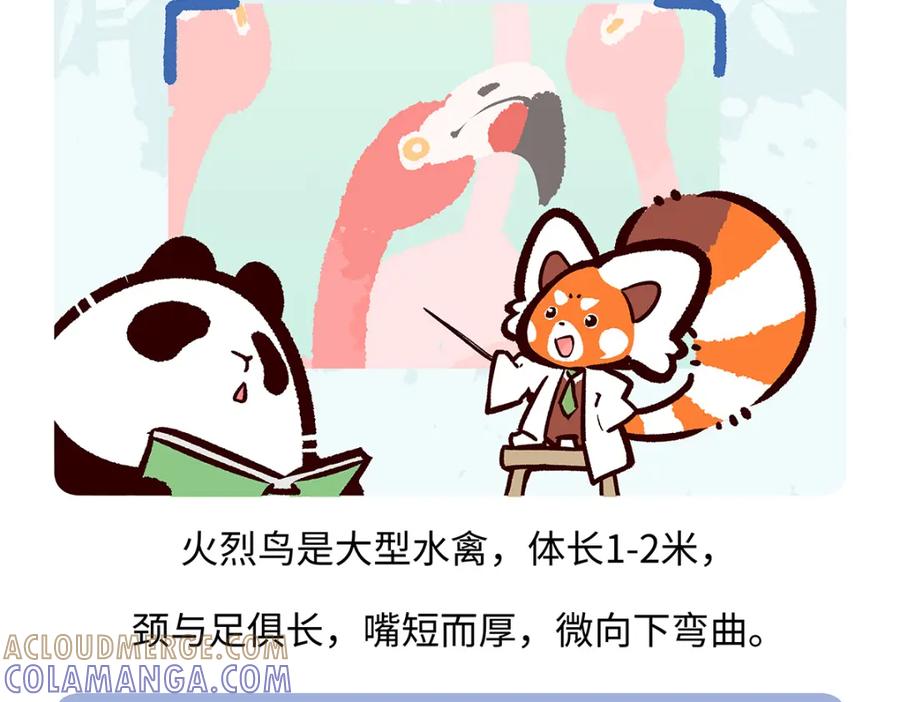 《胖达x胖达》第264话 第27页