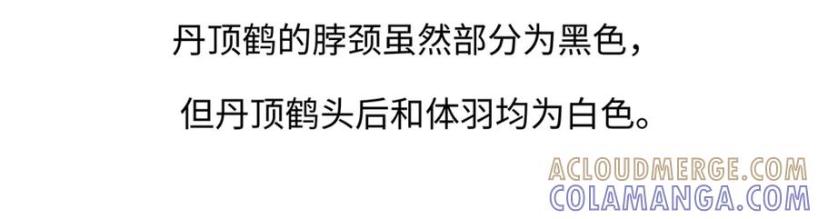《胖达x胖达》第264话 第25页