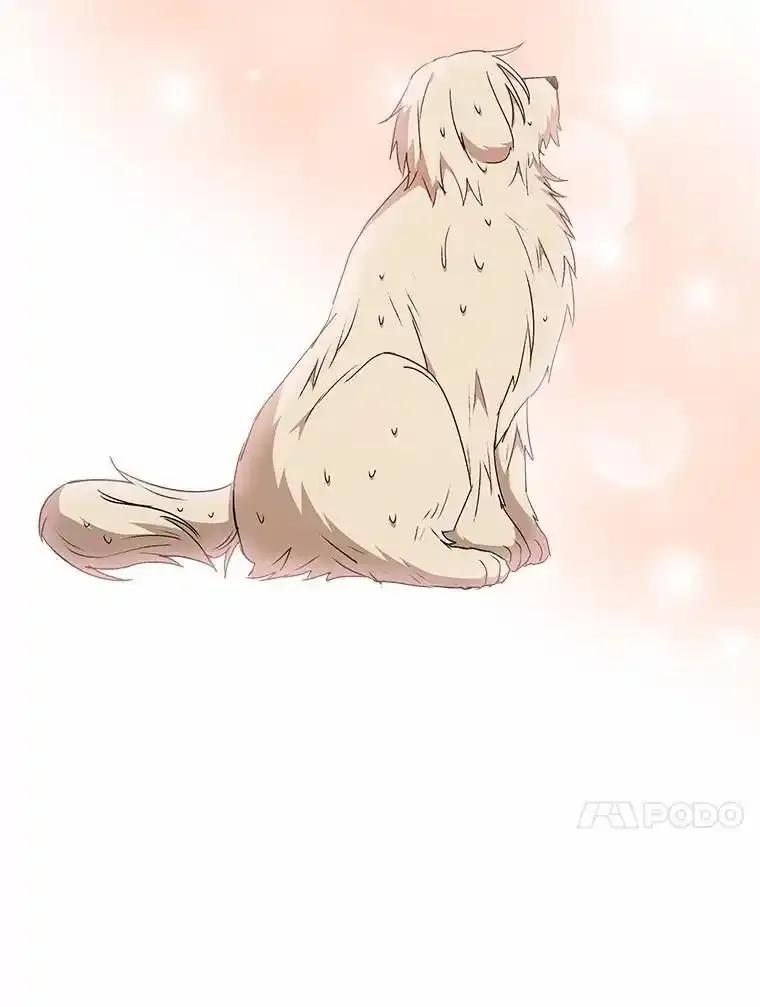 《你好？兽医先生！》59.我们回家吧 第124页