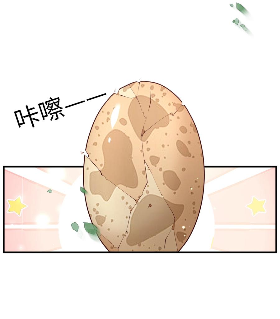 宗门里除了我都是卧底 - 012 孵化灵兽蛋 - 第30张图