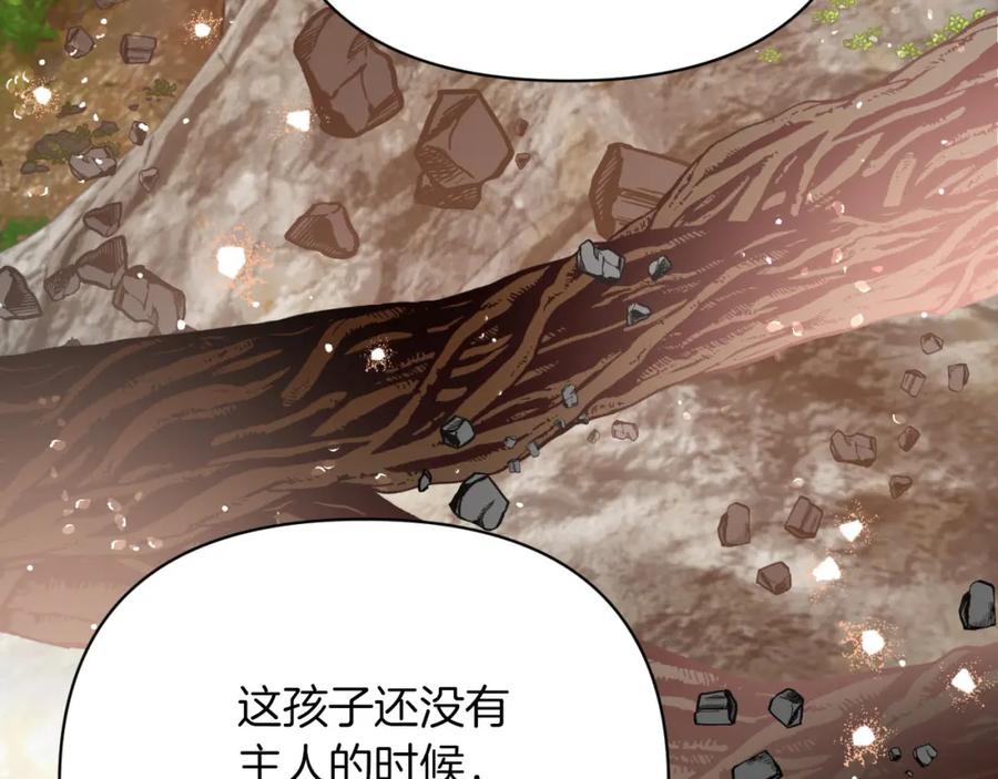 《钻石小姐历险记》第16话 自家树精闹内讧？ 第47页