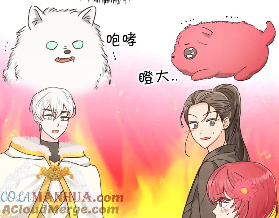 《钻石小姐历险记》第16话 自家树精闹内讧？ 第21页