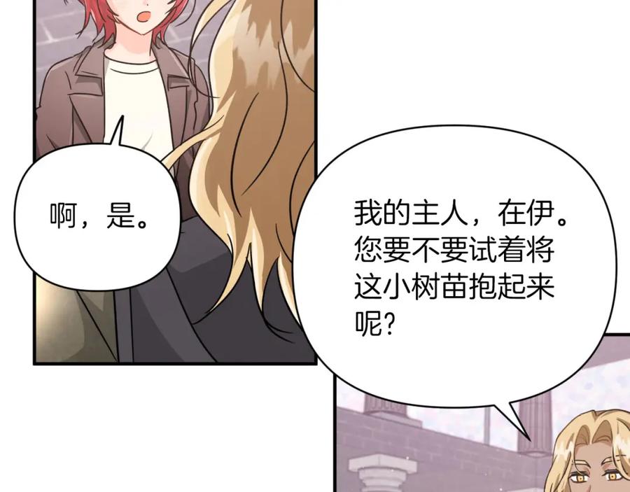 《钻石小姐历险记》第16话 自家树精闹内讧？ 第67页