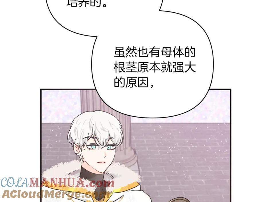 《钻石小姐历险记》第16话 自家树精闹内讧？ 第97页