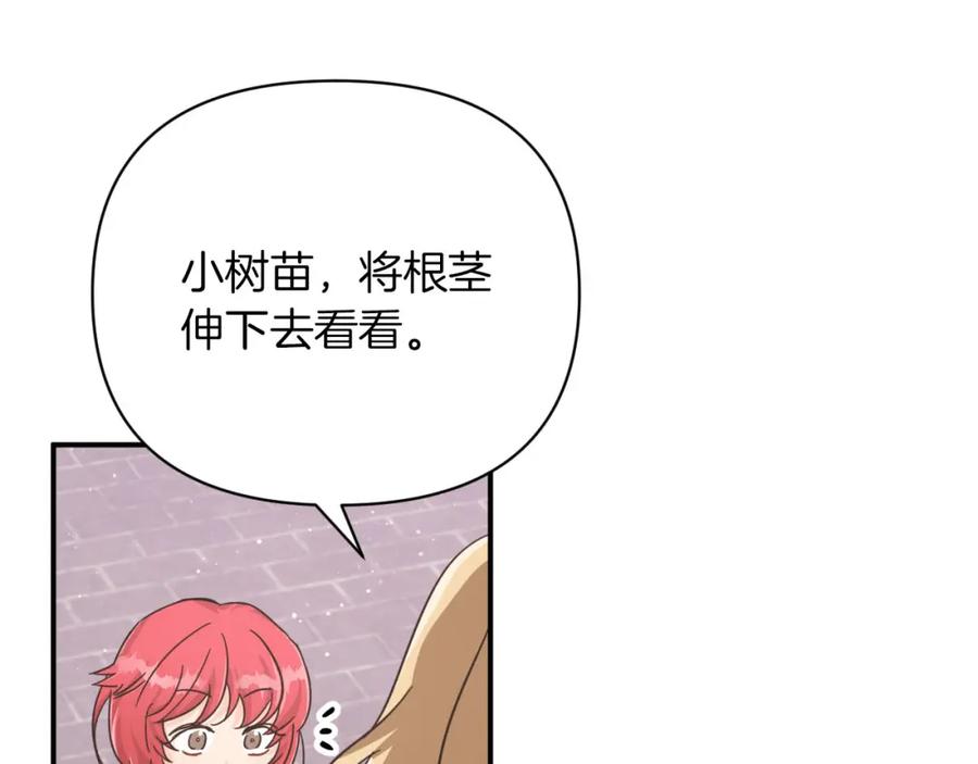 《钻石小姐历险记》第16话 自家树精闹内讧？ 第66页
