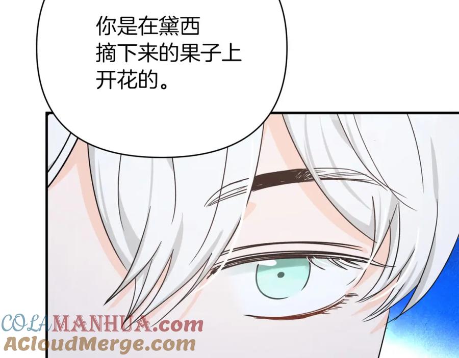 《钻石小姐历险记》第16话 自家树精闹内讧？ 第29页