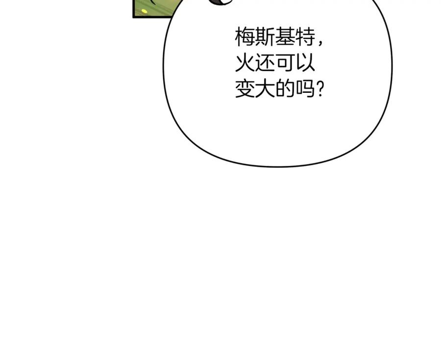 《钻石小姐历险记》第21话 树精们的初作战 第159页