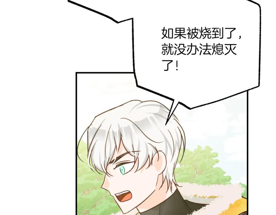 《钻石小姐历险记》第21话 树精们的初作战 第150页