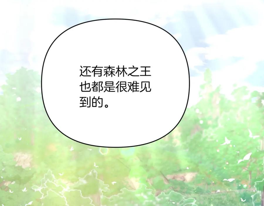 《钻石小姐历险记》第24话 蒲公英群部落 第204页
