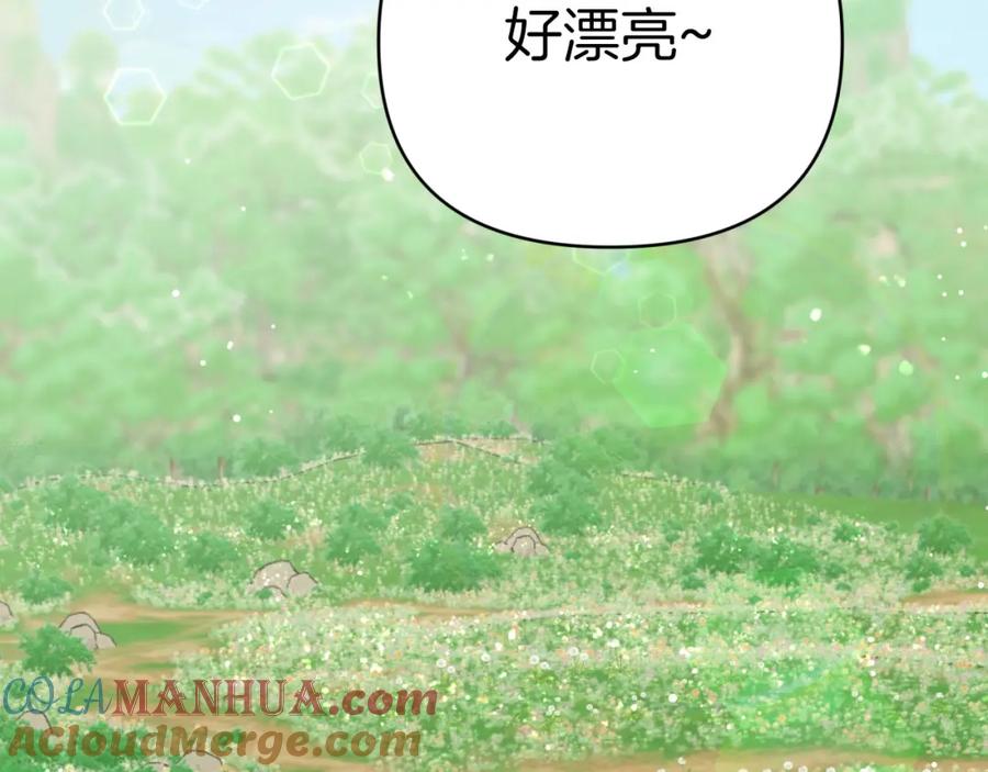 《钻石小姐历险记》第24话 蒲公英群部落 第117页