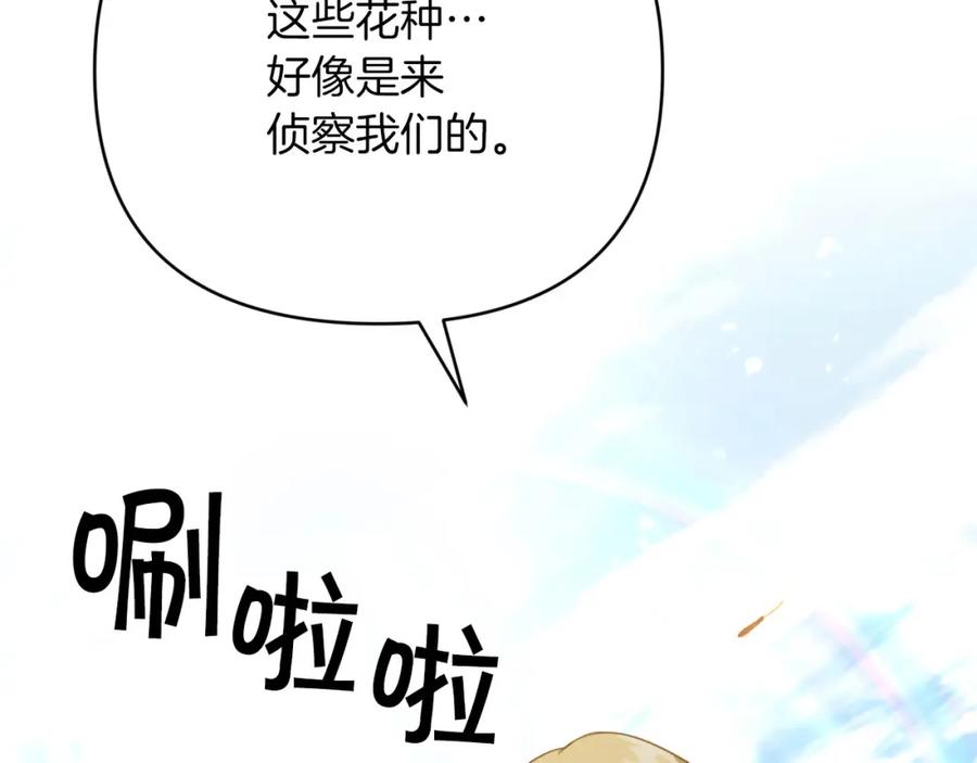 《钻石小姐历险记》第24话 蒲公英群部落 第146页