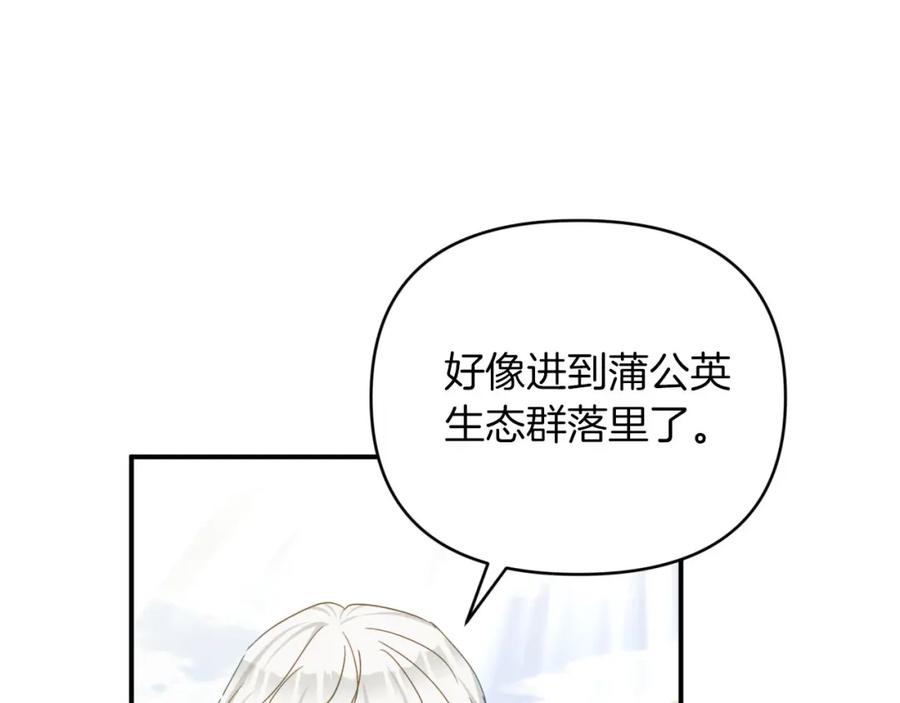 《钻石小姐历险记》第24话 蒲公英群部落 第123页