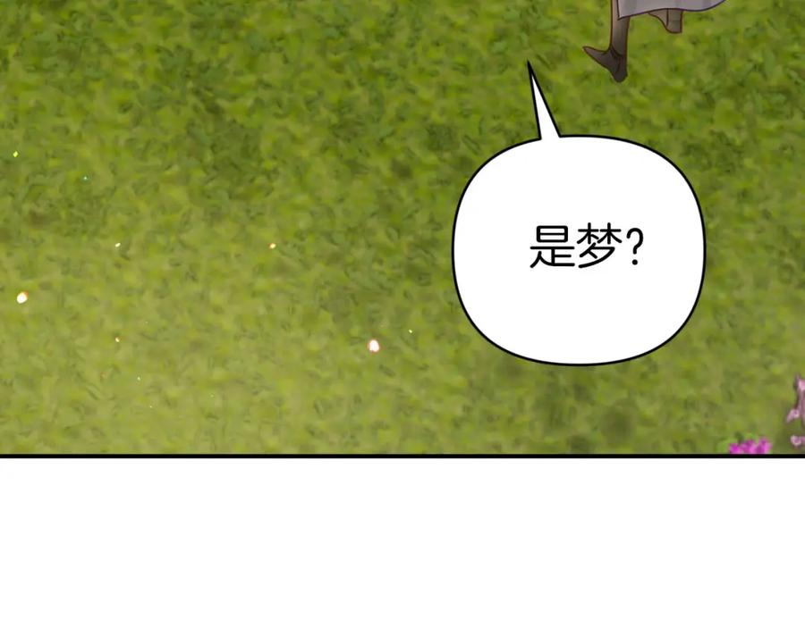 《钻石小姐历险记》第24话 蒲公英群部落 第66页